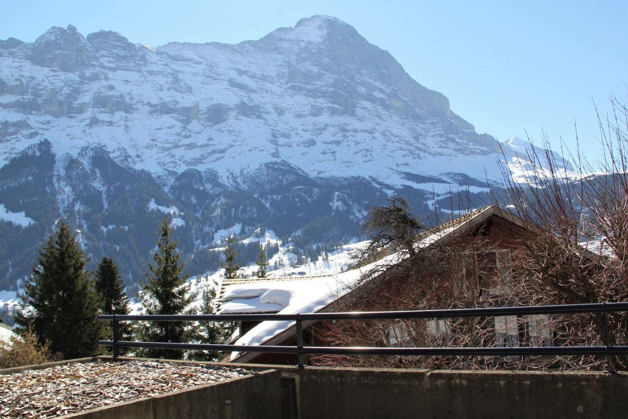 Elements Lodge Grindelwald Kültér fotó
